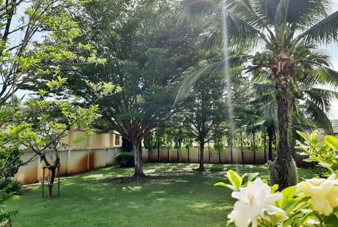 Huge Garden House
