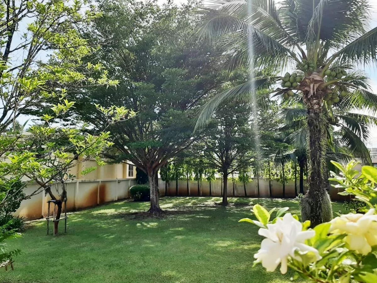 Huge Garden House