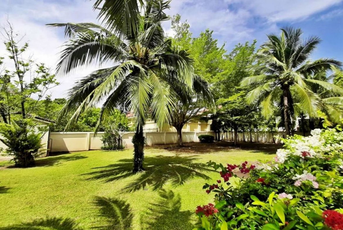 Huge Garden House
