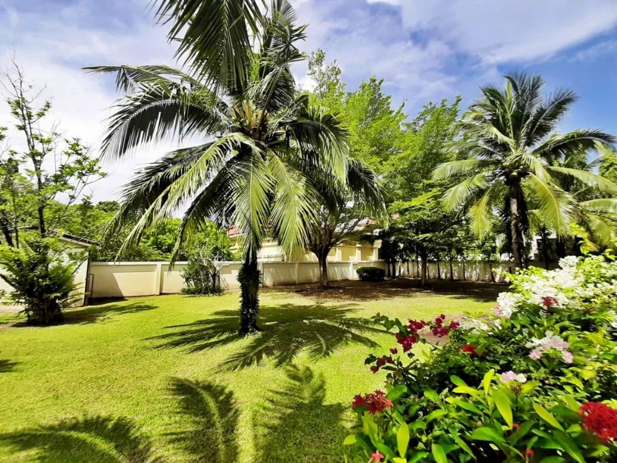 Huge Garden House