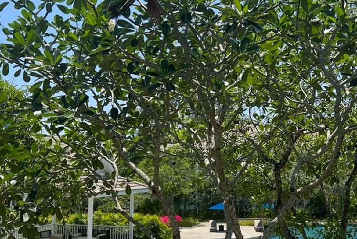 Cozy and Spacious Apartment in Layan Beach