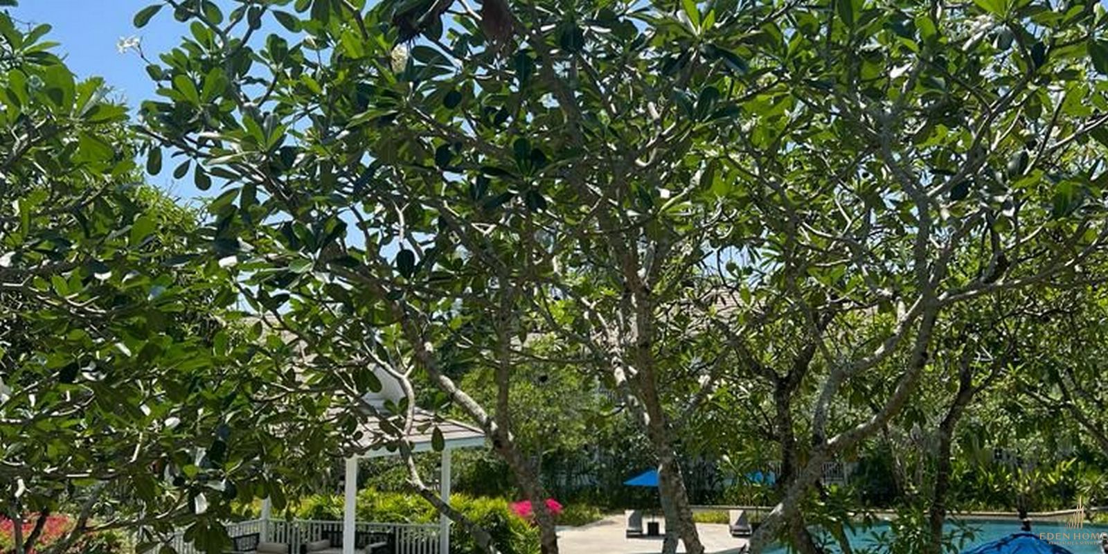Cozy and Spacious Apartment in Layan Beach