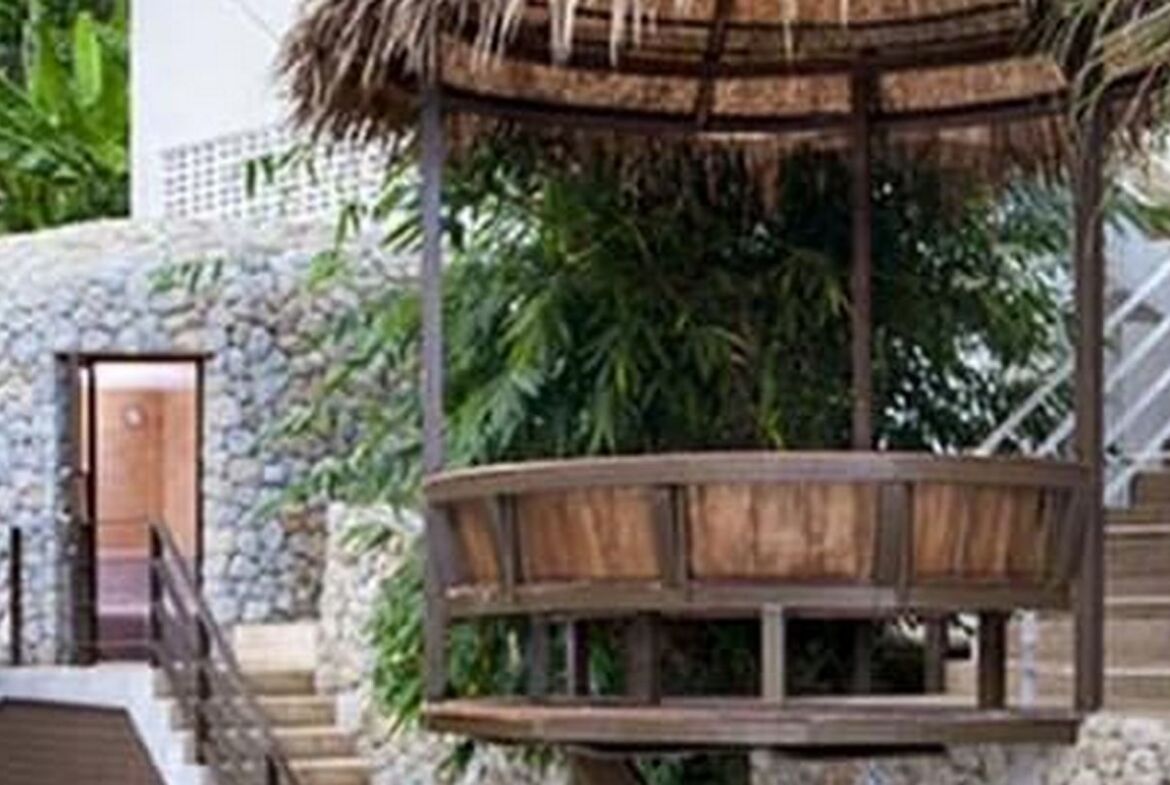 Cozy Jungle view studio for Rent