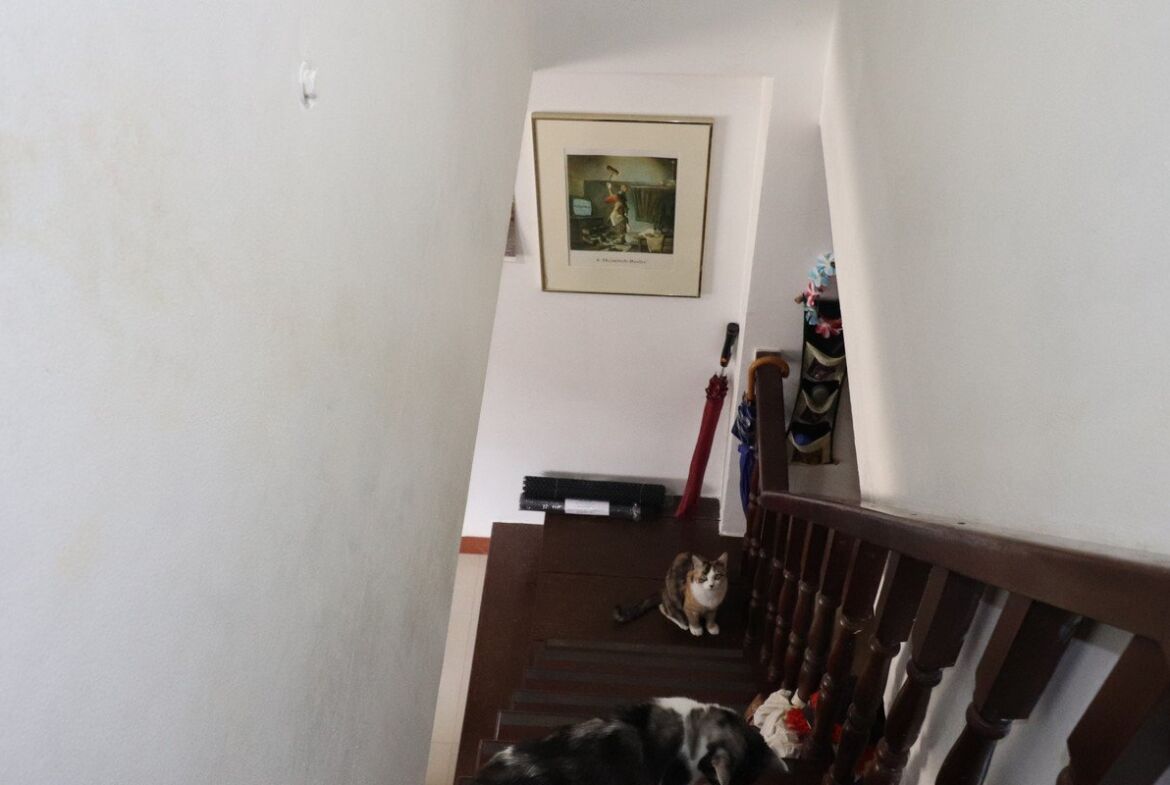 Soi Paradise House in Patong