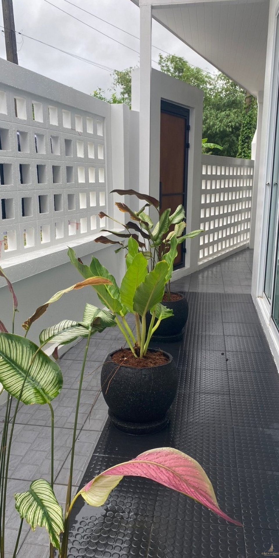 Beautiful House near Airport for Rent