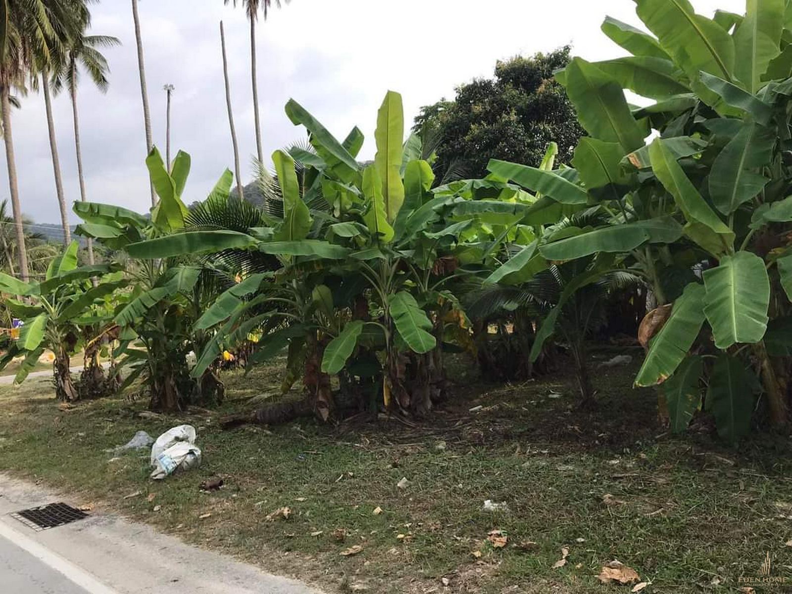 Land for sale at Bangtao beach