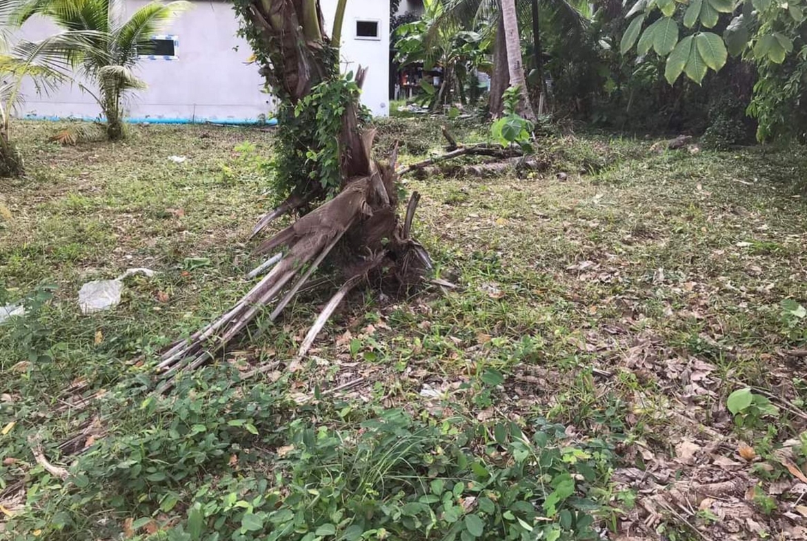 Land for sale at Bangtao beach