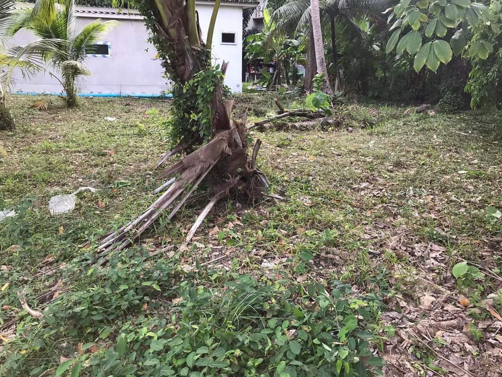 Land for sale at Bangtao beach