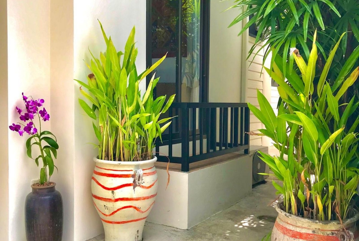 Private pool villa for rent at Rawai