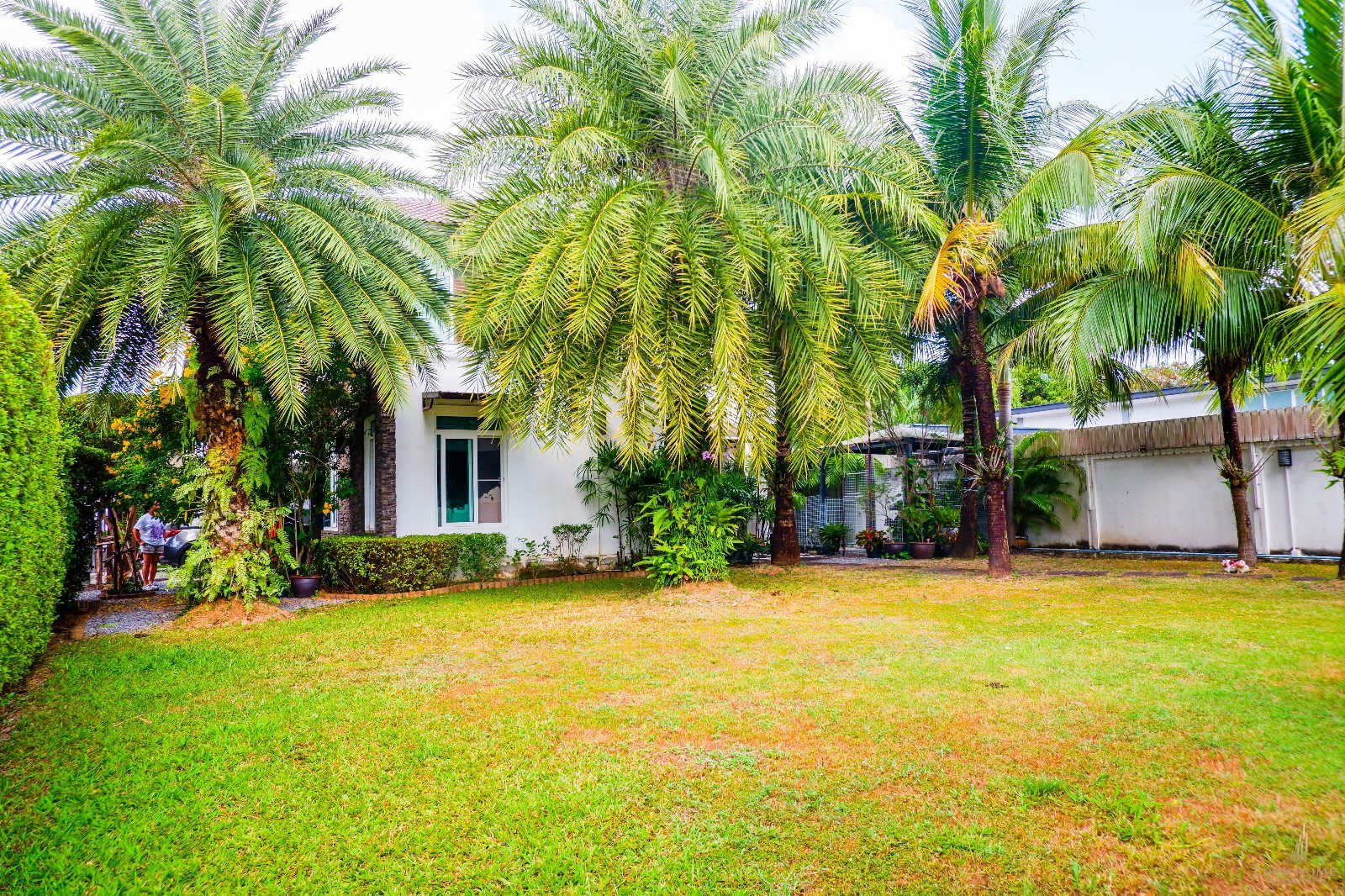 4 bedroom house for sale and rent in Chalong