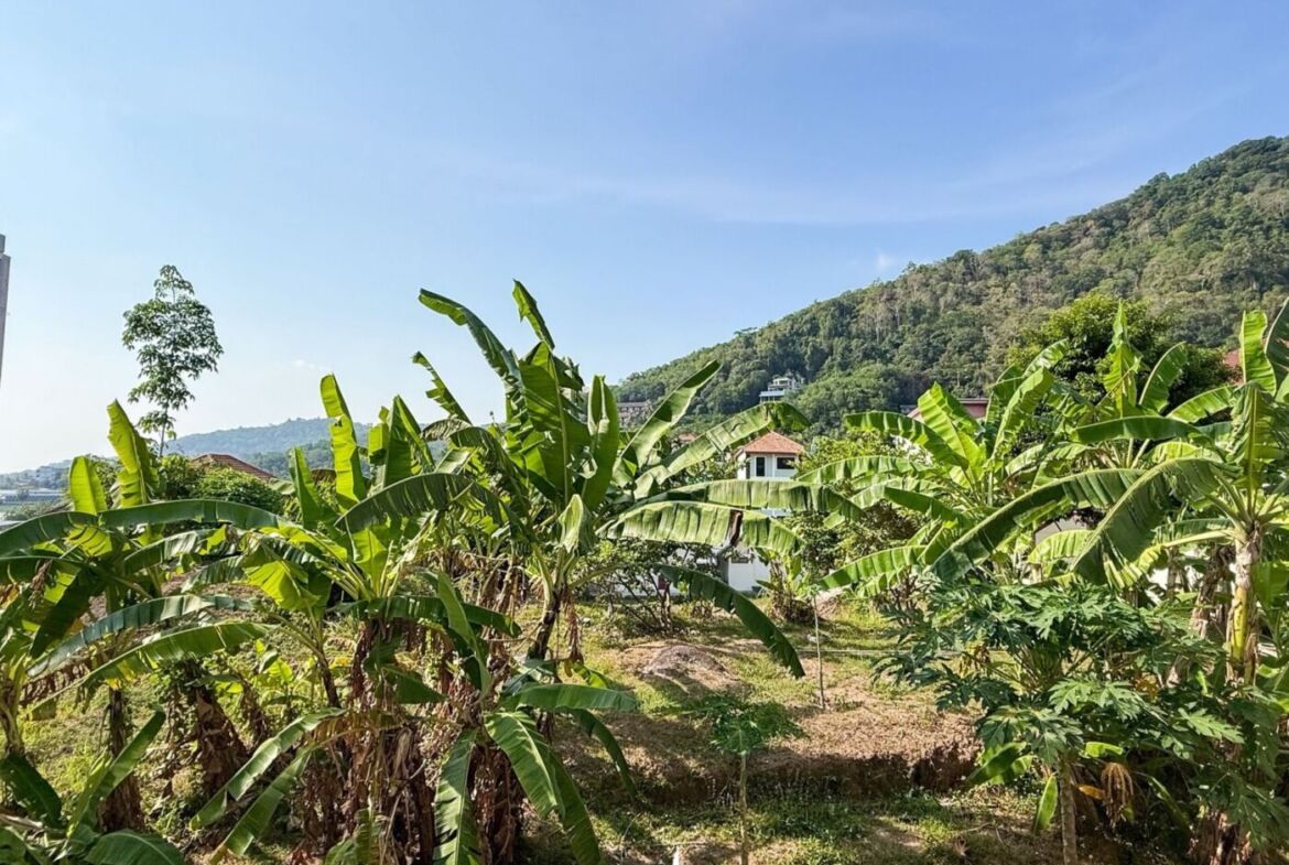 ⛰️ HIGH-YIELD INVESTMENT RETREAT — THE CHIC CONDOMINIUM KARON 🌊