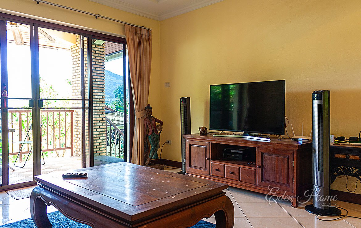 TV in the living room